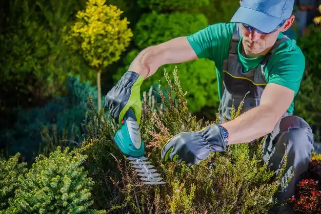 landscaping services Merritt Park